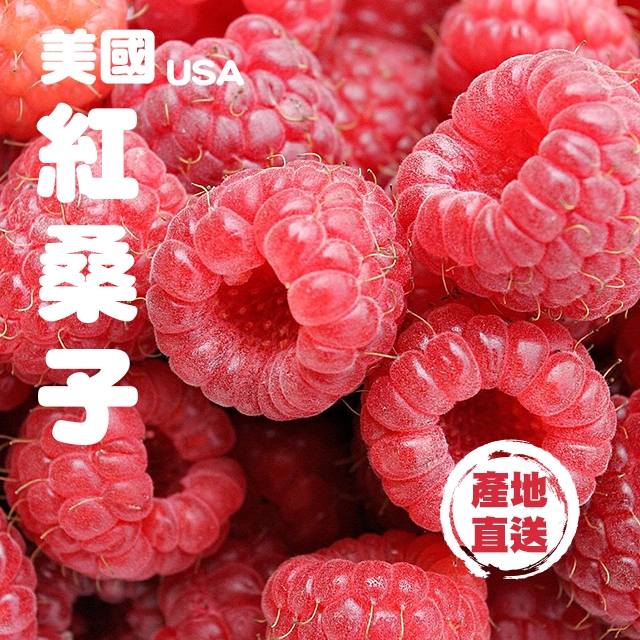 Fresh Checked美國紅桑子